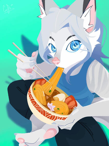 Soup Noodles