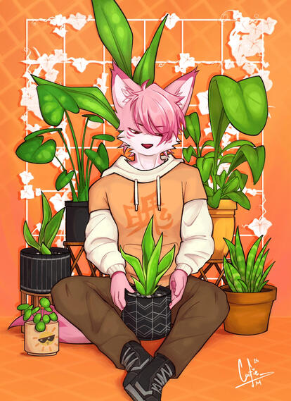 Commission for Cherry